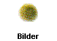 Bilder